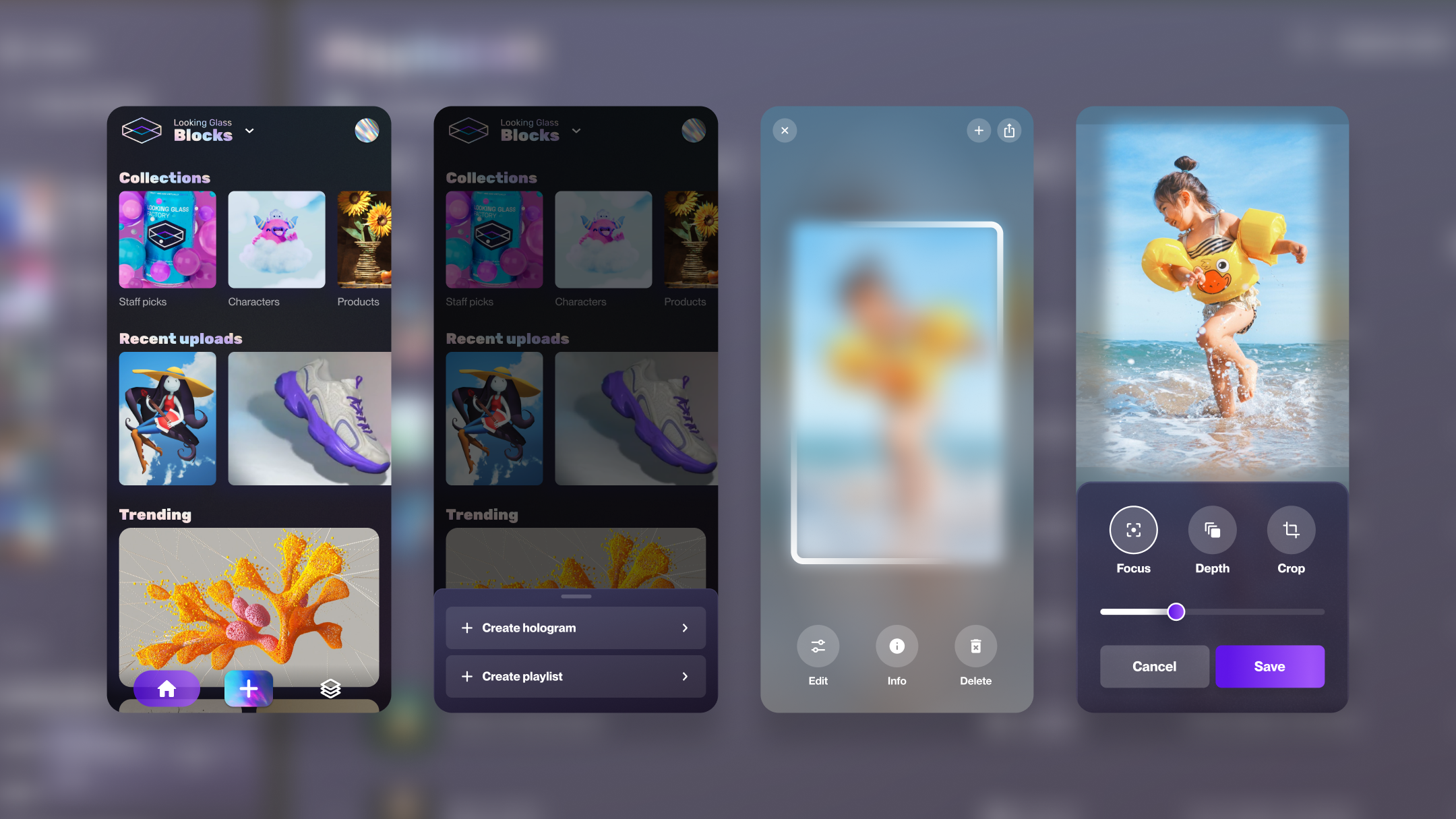 Looking Glass Go companion app photo gallery view